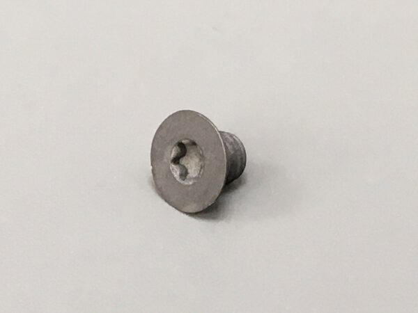Photo of a Rapido Screw spare part